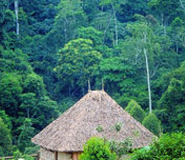 Buhoma community camp