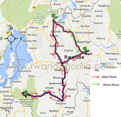 5 days rwanda primates tour