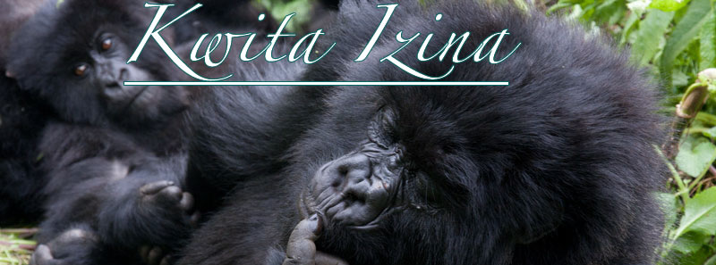 gorilla naming ceremony