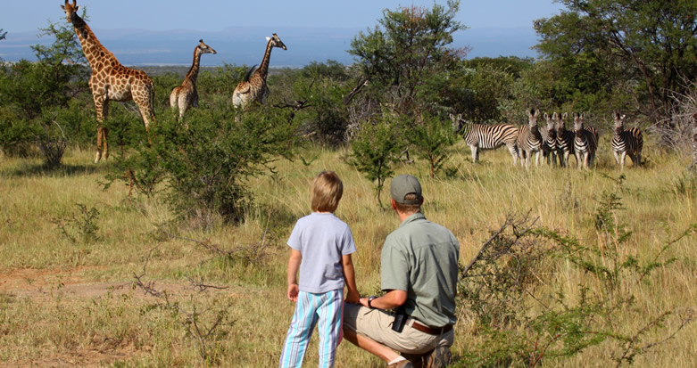 rwanda family safari