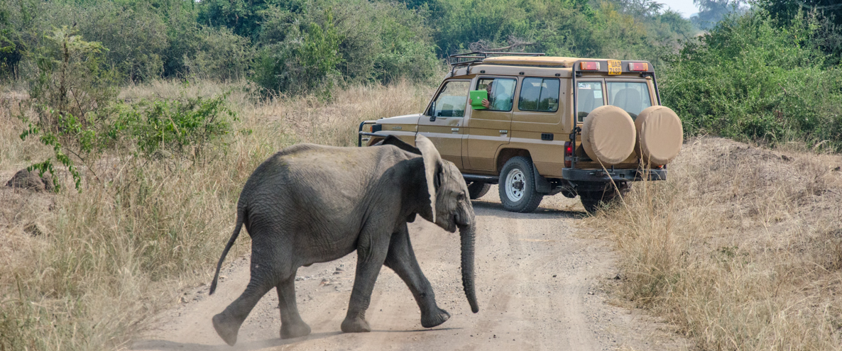 Murchison falls national park