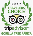 gorilla trek africa Tripadvisor page