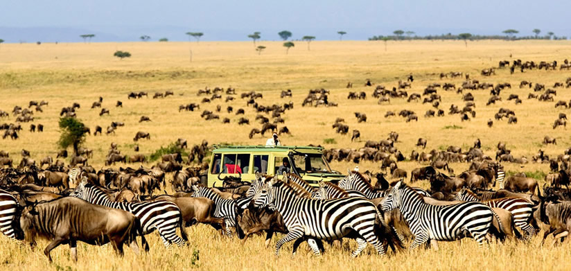 Taragire national park