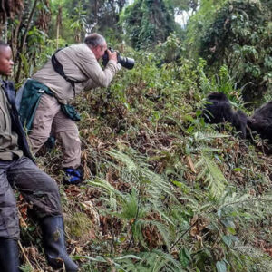 Safety tips for gorilla trekking