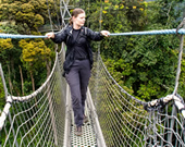 Nyungwe forest national park