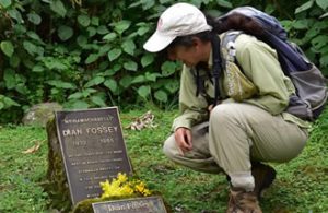 Rwanda Hiking Tours