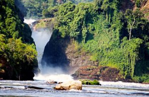 Uganda Safaris