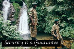 Is gorilla trekking safe