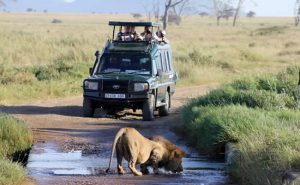 akagera national park game drive | Rwanda Gorilla Tour