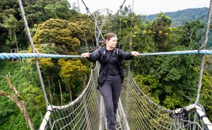 canopy walk in nyungwe national park | Rwanda Gorilla Tour