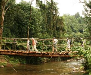 How long is a hike to see gorillas in Bwindi