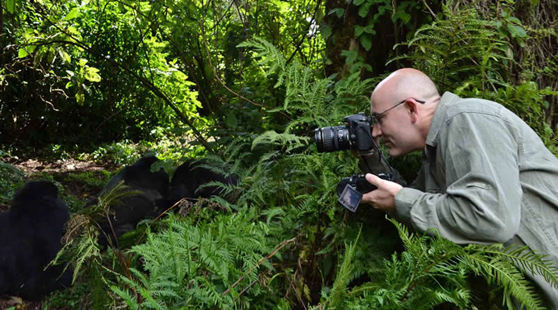 Gorilla tracking time