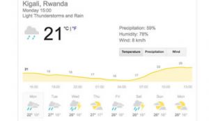 Weather in Rwanda | Rwanda Gorilla Tour When to visit gorillas gorillas in Rwanda