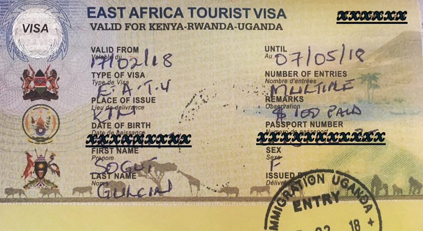 Application for a single East African Visa