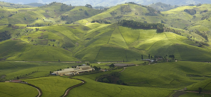 Rwanda rolling hills