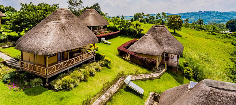 Lodges in Kibale Forest National Park