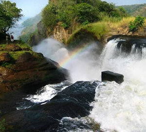 10 Days Uganda safari