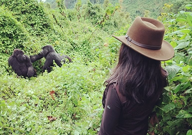 4 days rwanda gorilla tour