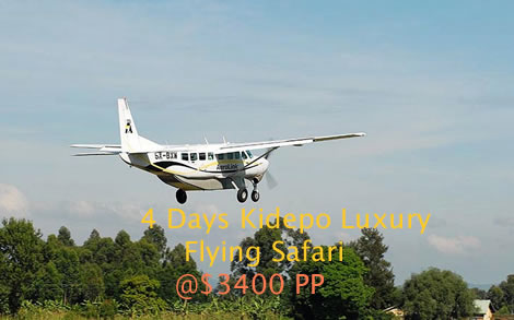 Uganda flying safaris