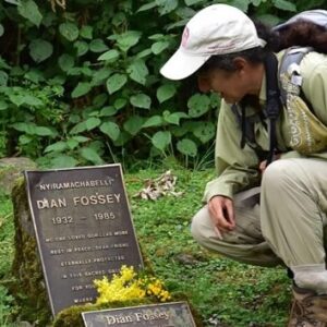 Rwanda hiking safaris