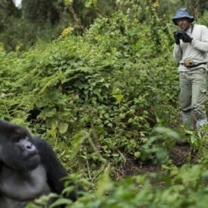 5 Days Rwanda primates safari