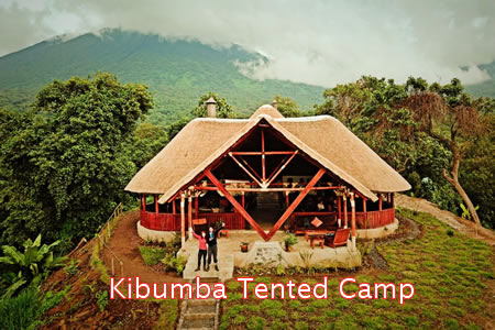 Where to sleep on Congo gorilla safaris