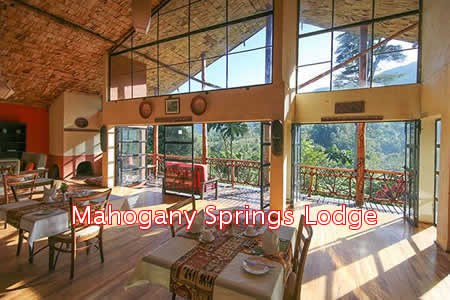 Luxury Lodges in Bwindi