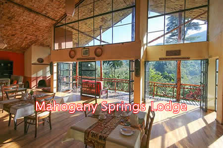 Luxury Lodges in Bwindi