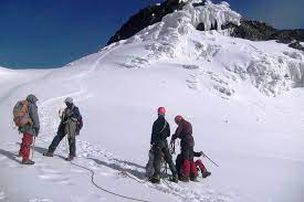 Mt Rwenzori hiking