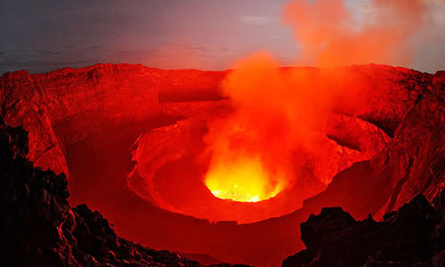 Congo gorilla tours