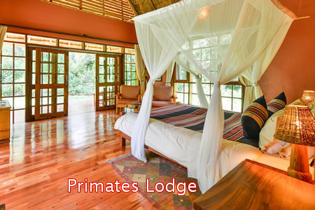 Luxury Lodges in Kibale Forest National Park