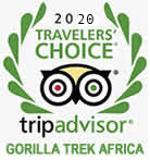 Rwanda gorilla tours