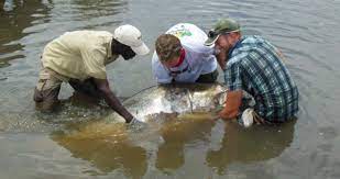 Sport fishing in Uganda
