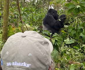 What is included & Excluded in the cost of the Uganda safari package