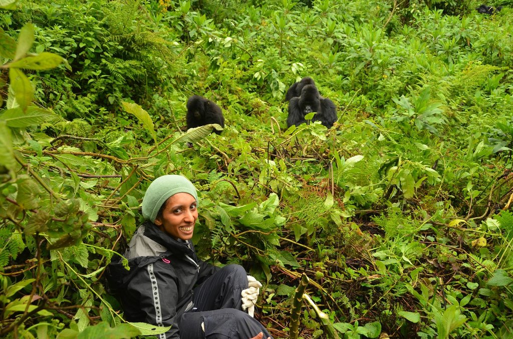 gorilla tours