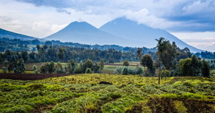 Greater Virunga