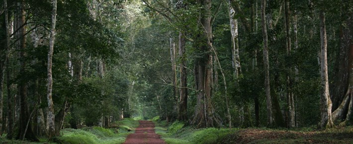 Murchison falls national park