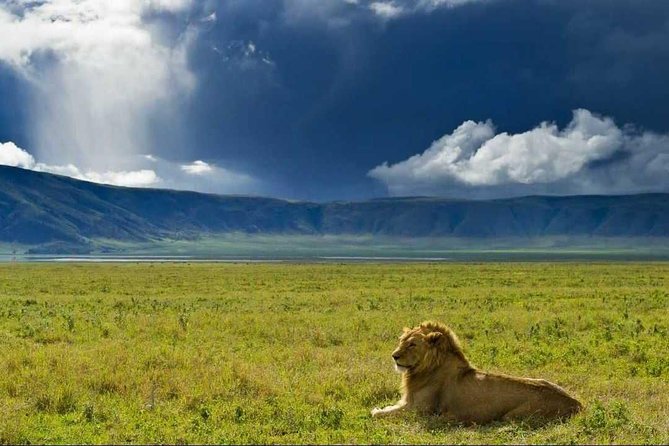 Ngorongoro Conservation Area