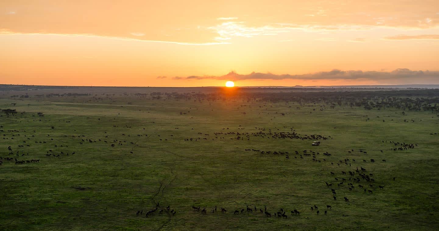 Ngorongoro Conservation Area